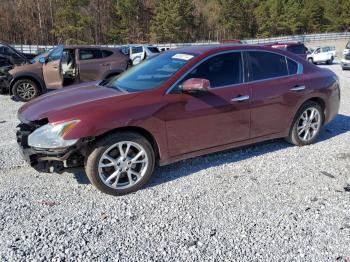  Salvage Nissan Maxima