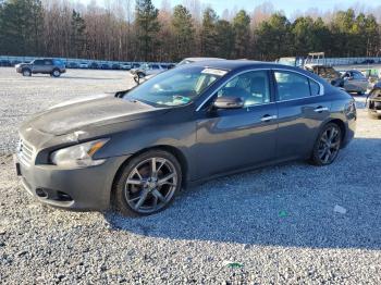  Salvage Nissan Maxima