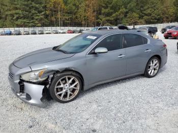  Salvage Nissan Maxima