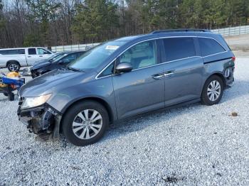  Salvage Honda Odyssey