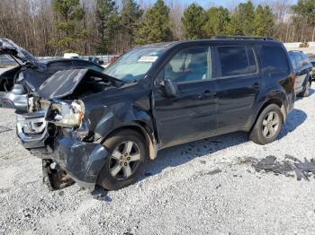  Salvage Honda Pilot