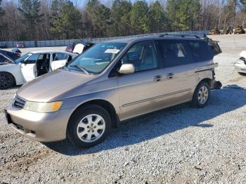  Salvage Honda Odyssey