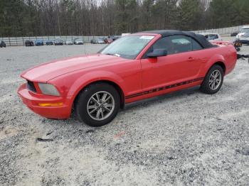  Salvage Ford Mustang