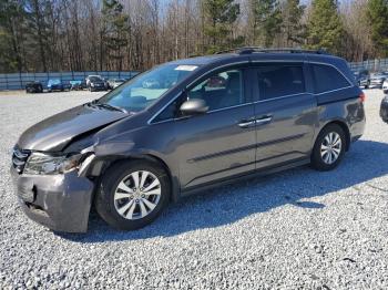  Salvage Honda Odyssey