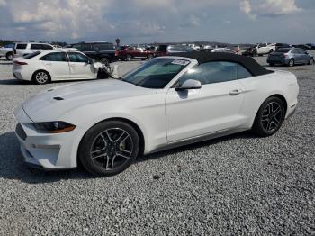  Salvage Ford Mustang