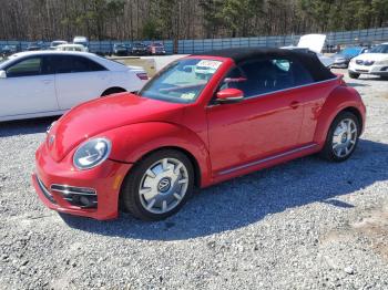  Salvage Volkswagen Beetle