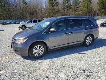  Salvage Honda Odyssey