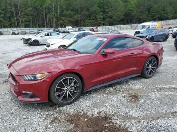  Salvage Ford Mustang