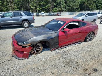  Salvage Ford Mustang