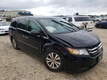  Salvage Honda Odyssey