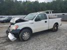 Ford F-150 Image 1