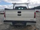 Ford F-150 Image 3