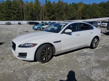  Salvage Jaguar XF