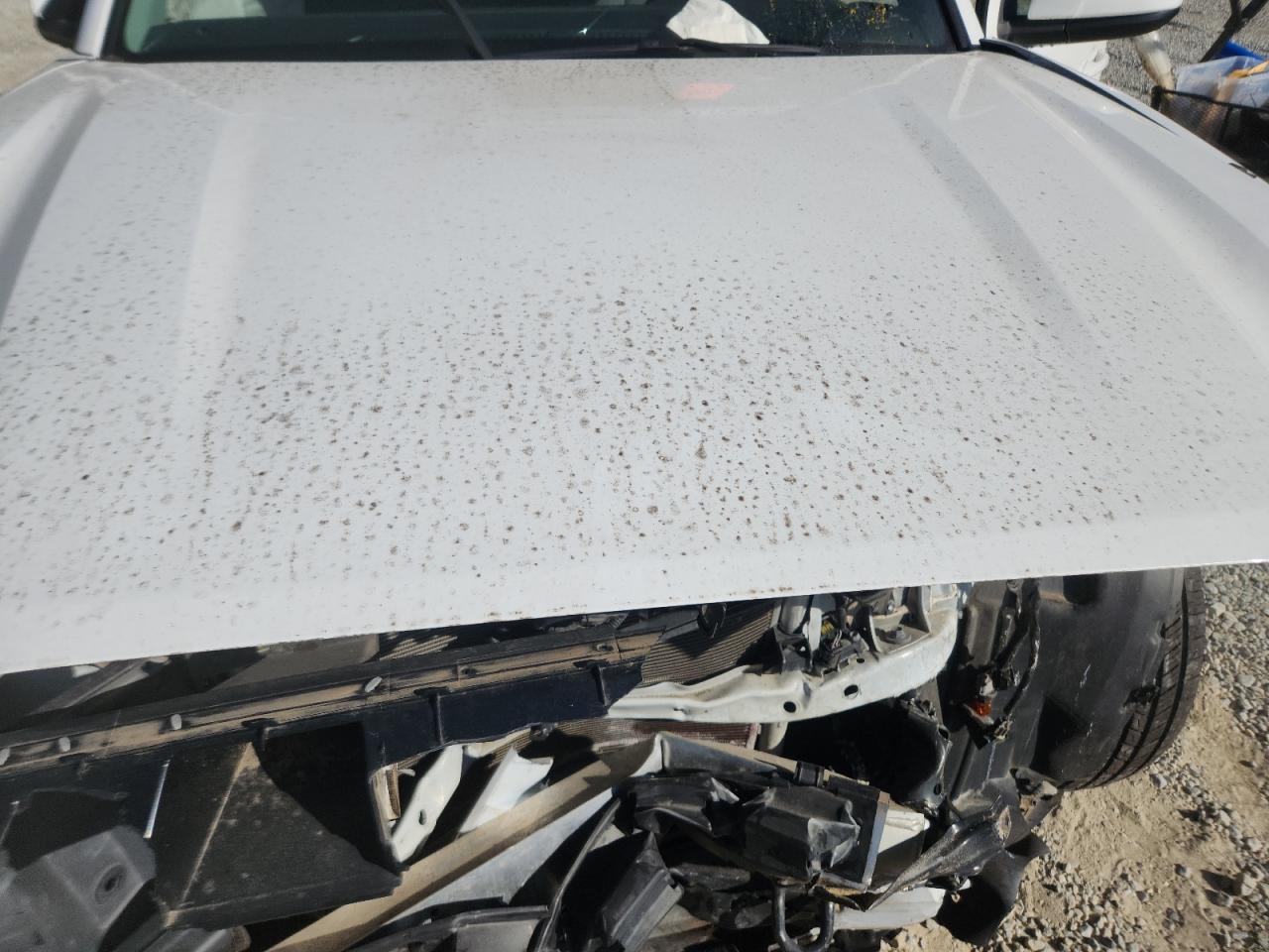 Toyota Tacoma Double Cab Image 4