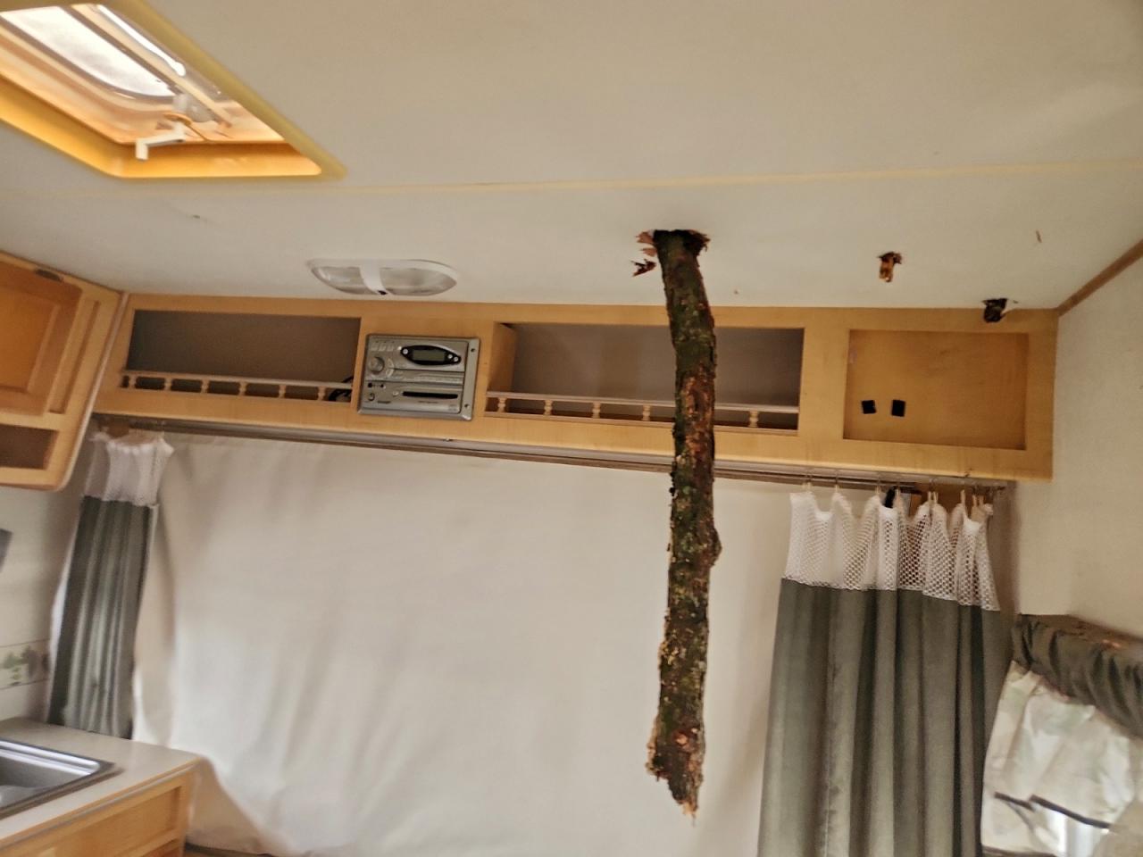 Tria L-lite By Image 8