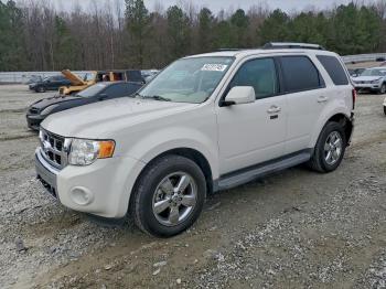  Salvage Ford Escape