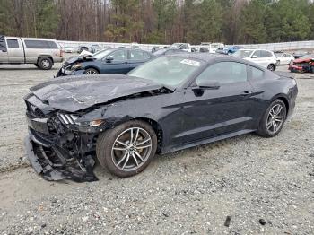  Salvage Ford Mustang