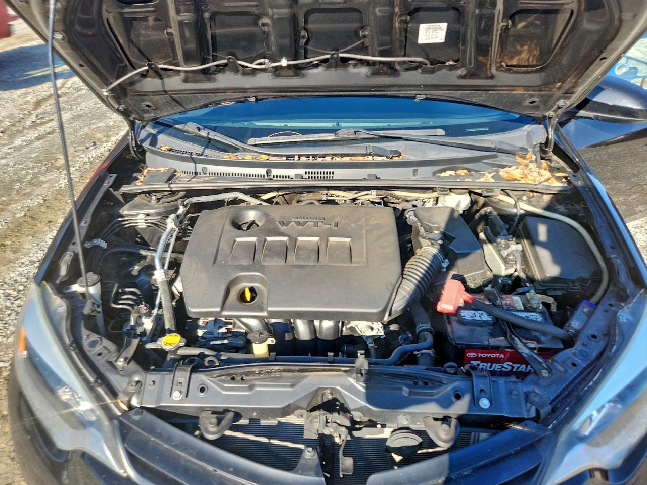 Toyota Corolla L Image 12