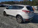 Ford Escape Sel Image 3