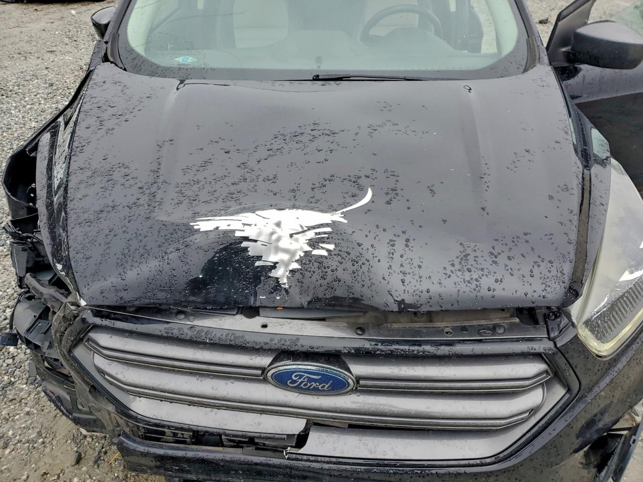 Ford Escape Sel Image 12