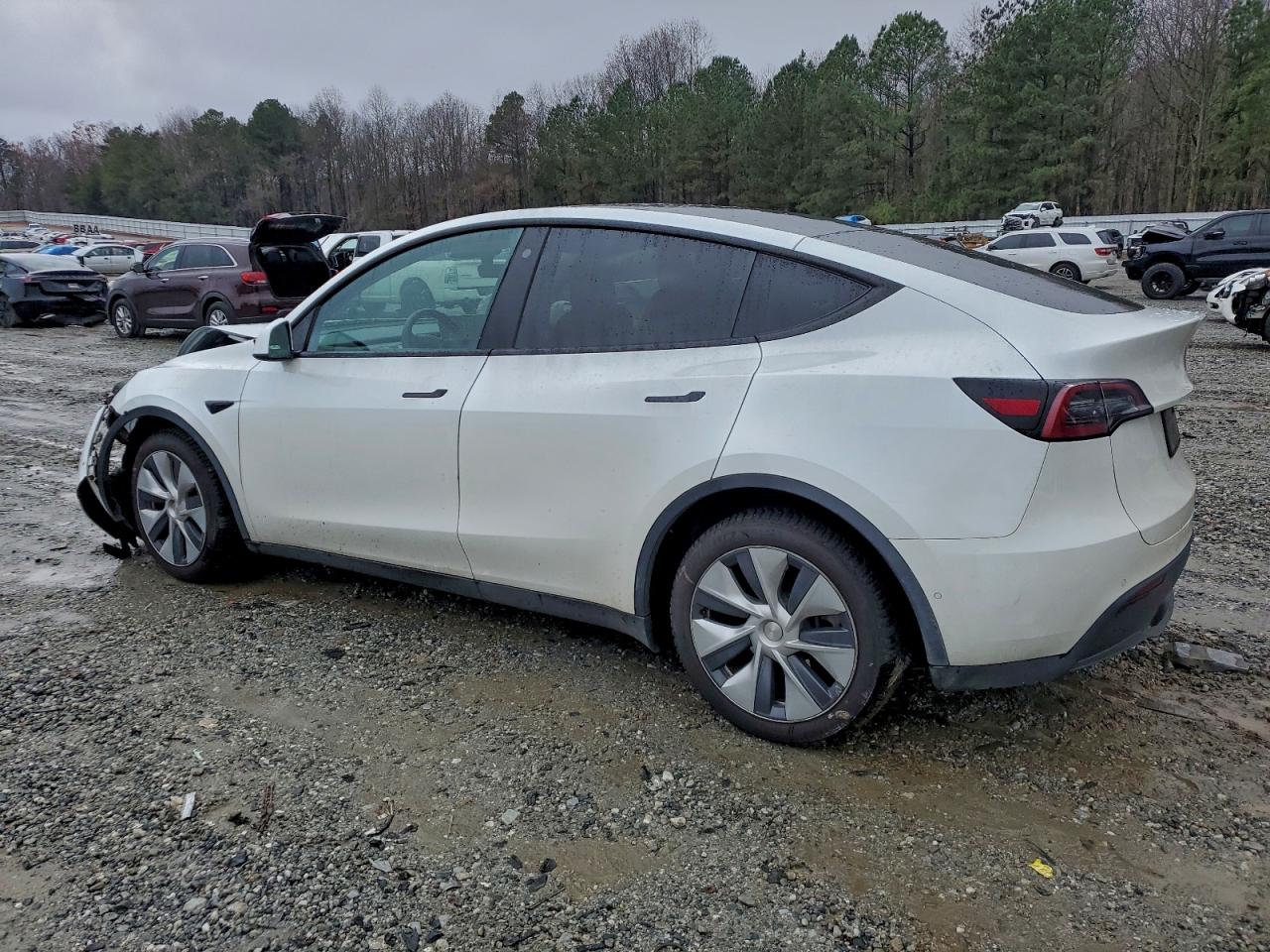 Tesla Model Y Image 2