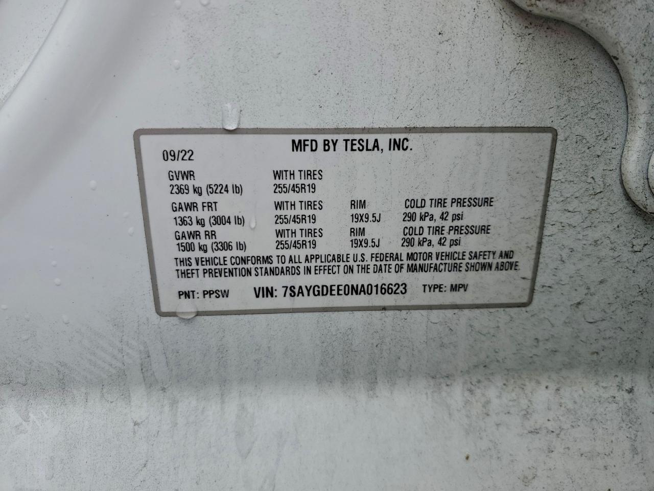 Tesla Model Y Image 10