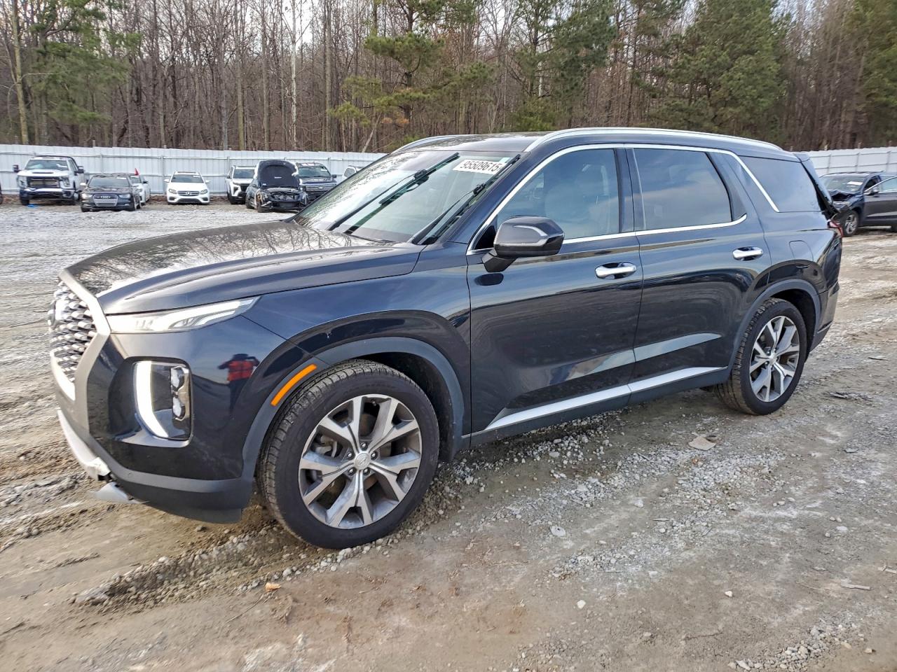 Hyundai PALISADE Sel Image 1