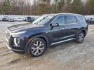 Hyundai PALISADE Sel Image 1