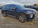 Hyundai PALISADE Sel Image 4