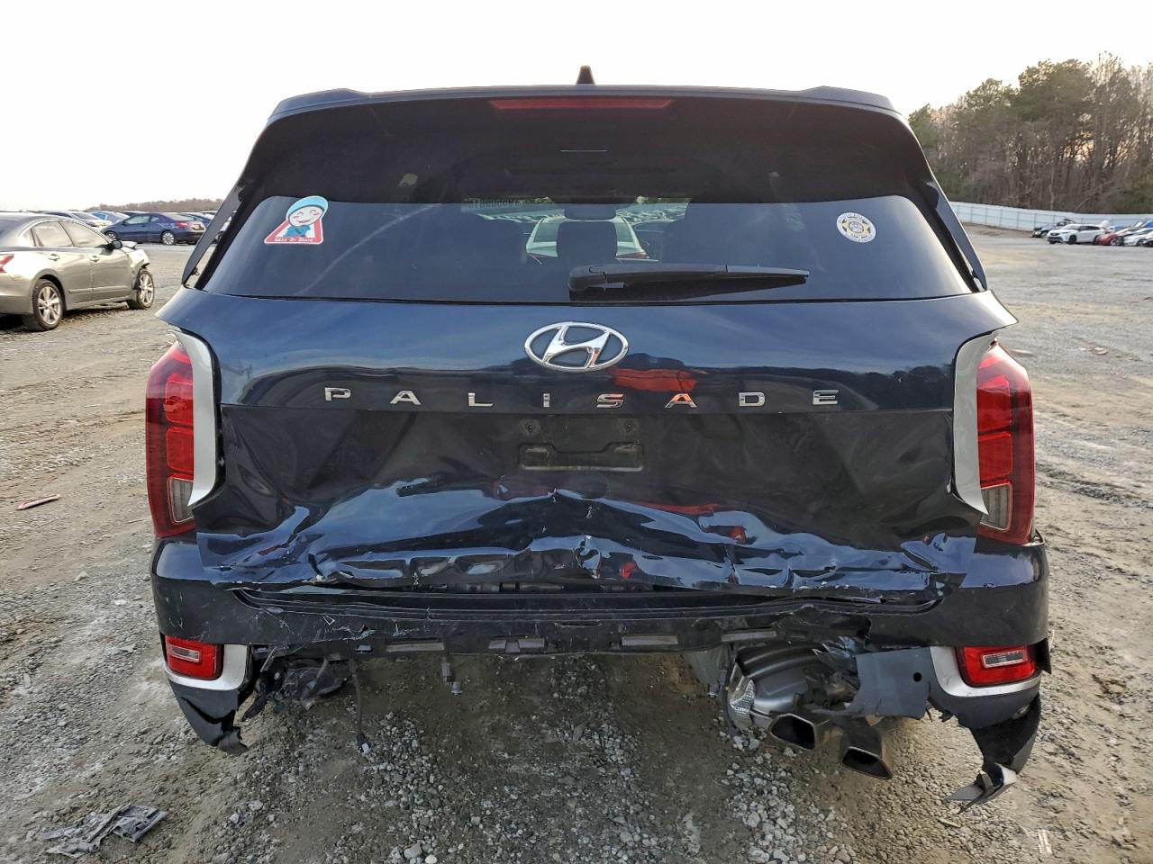 Hyundai PALISADE Sel Image 2