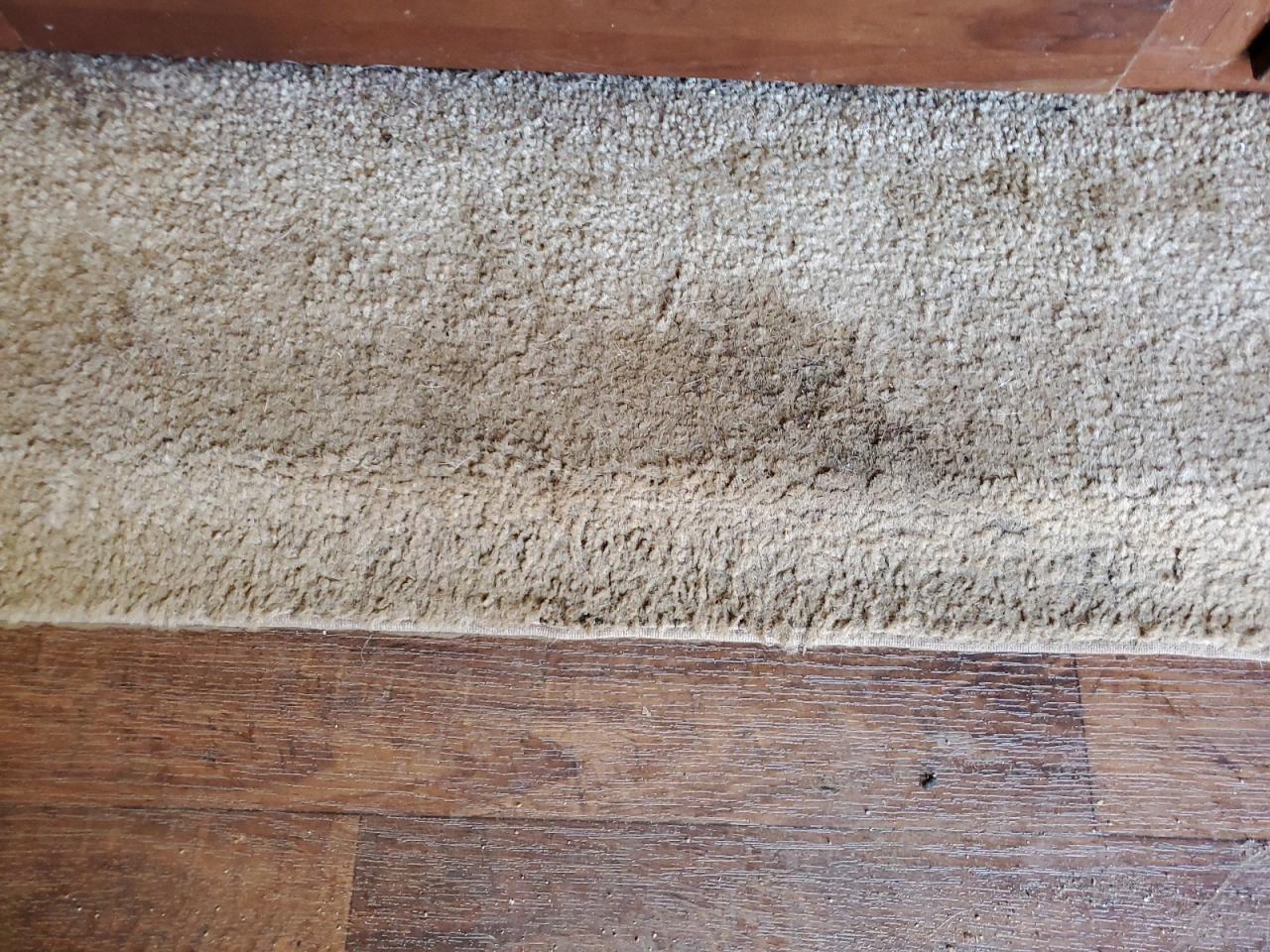 Wildwood Flagstaff Image 9