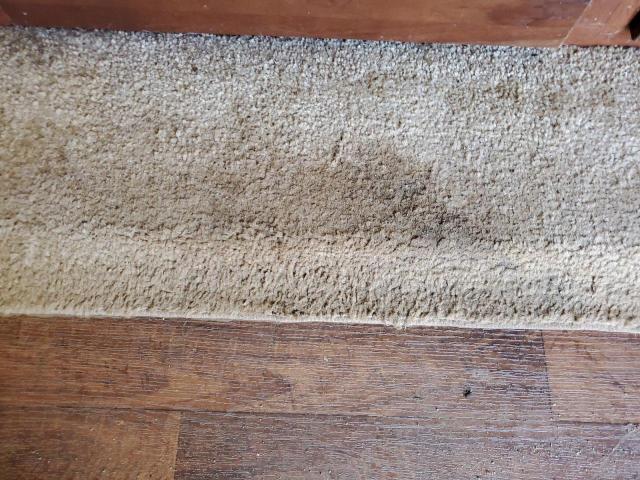 Wildwood Flagstaff Image 9